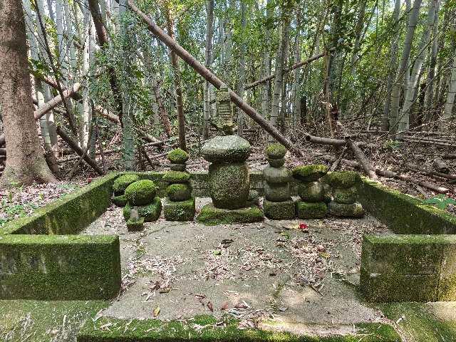 鹿児島県薩摩川内市平佐町54 小長崎神社の写真4