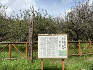 菅原神社(藤川天神)の参拝記録(Takeru Yamatoさん)