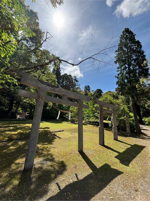 諏訪神社の参拝記録(ほちさん)