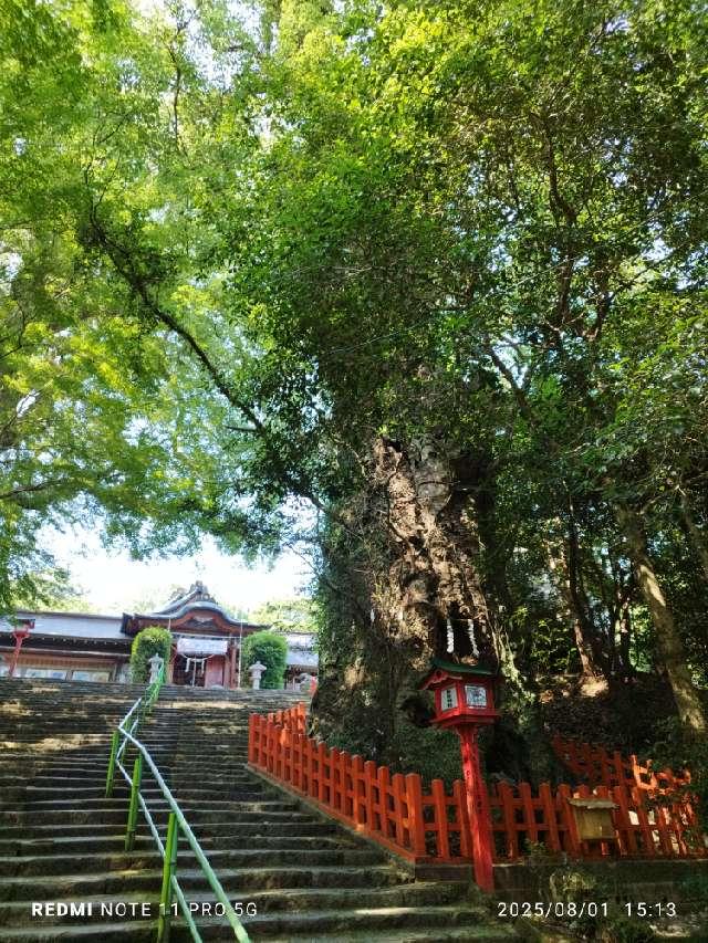新田神社の参拝記録6