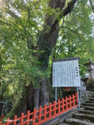 新田神社の参拝記録(たにやんさん)