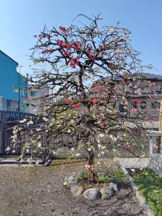 崇亀山松應院大英寺の参拝記録1