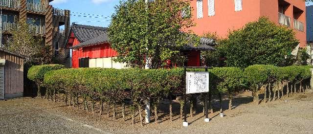 鹿児島県霧島市国分野口東935 枝宮神社の写真3