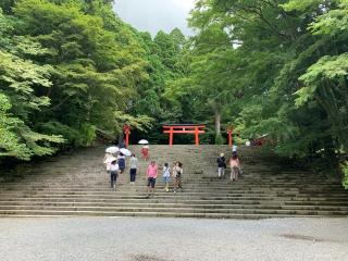霧島神宮の参拝記録(まさきさん)