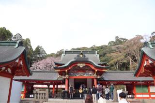 霧島神宮の参拝記録(ドラゴンさん)