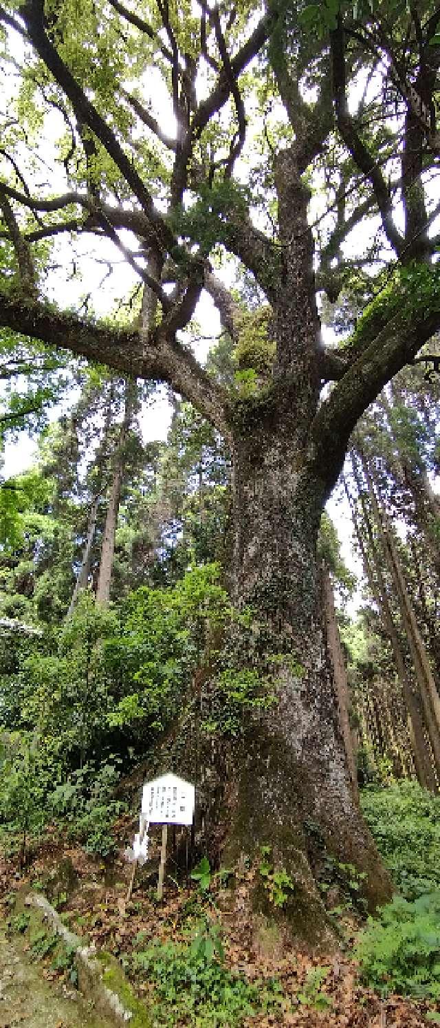 鹿児島県霧島市国分台明寺1103 日枝神社の写真6