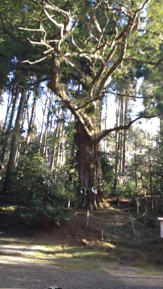 宮毘神社の参拝記録(Y.1966.Sさん)