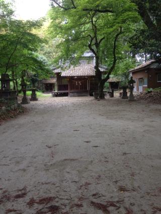 荒瀬神社の参拝記録(はまお & アリスさん)