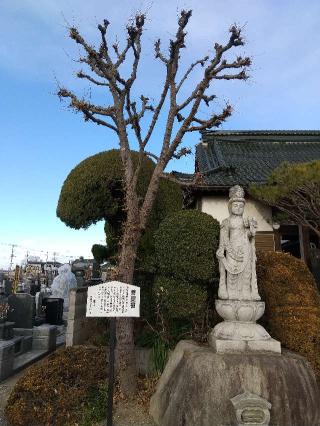 八幡山神功院東耀寺の参拝記録(zx14rさん)