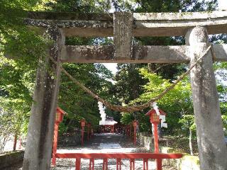 八幡神社(郡山八幡神社）の参拝記録(KAYOさん)