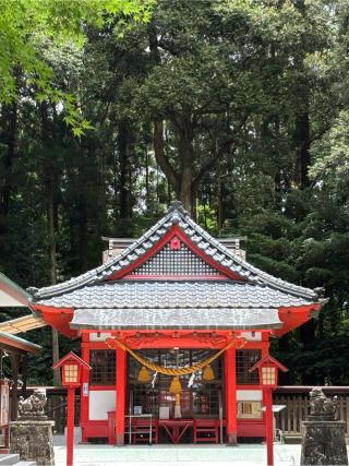 八幡神社(郡山八幡神社）の参拝記録(ほちさん)
