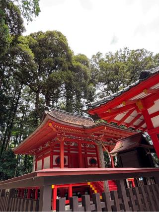 八幡神社(郡山八幡神社）の参拝記録(ほちさん)