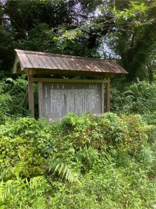 南方神社の参拝記録(はまお & アリスさん)