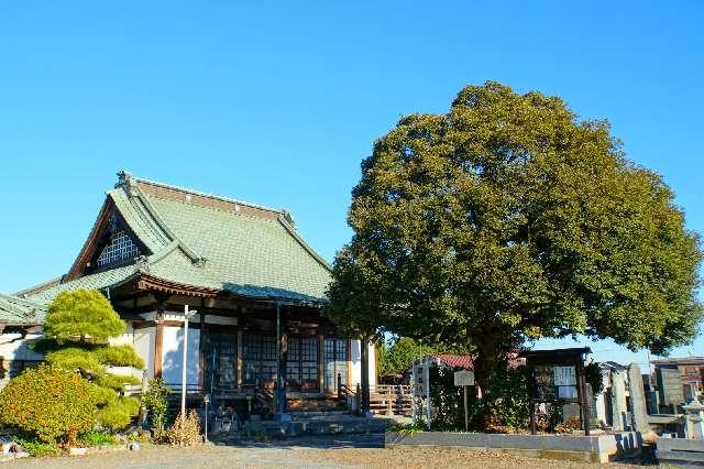 埼玉県加須市大字旗井192 熊野山星福寺の写真2