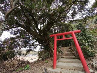 大井上神社の参拝記録(Y.1966.Sさん)