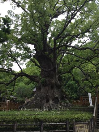 蒲生八幡神社の参拝記録(TOSHIさん)