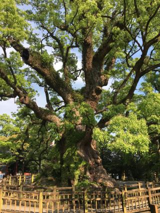 蒲生八幡神社の参拝記録(カープファンさん)