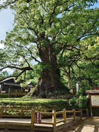 蒲生八幡神社の参拝記録(みこふくさん)