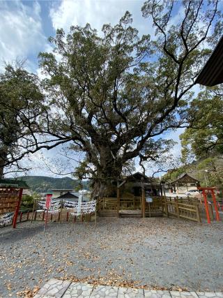 蒲生八幡神社の参拝記録(やっくんさん)