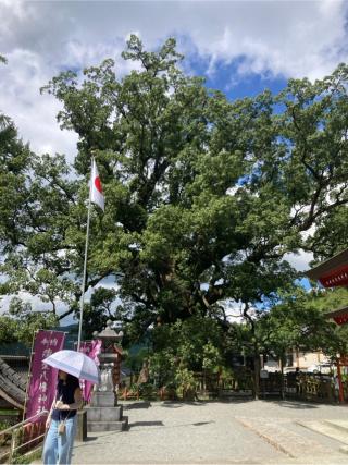 蒲生八幡神社の参拝記録(2224さん)