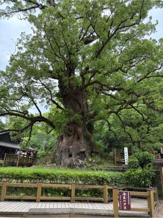 蒲生八幡神社の参拝記録(エイジさん)
