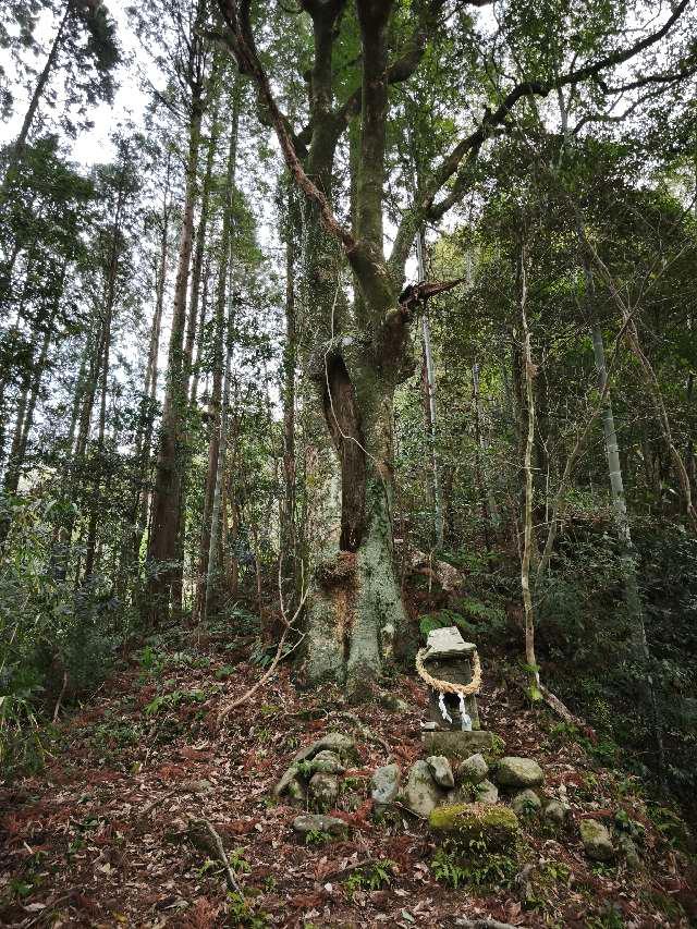 鹿児島県姶良市木津志3031 城野神社の写真6