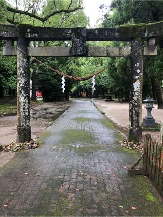 勝栗神社の参拝記録(もものすけさん)
