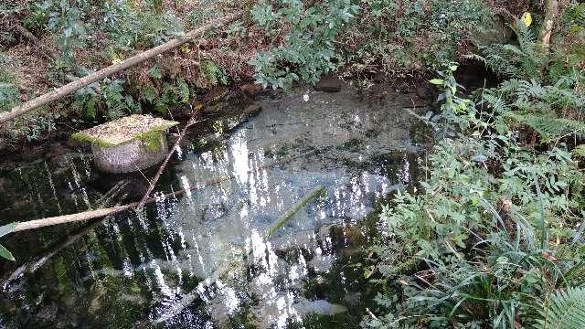 鹿児島県姶良郡湧水町川添1299-イ 熊野神社の写真5