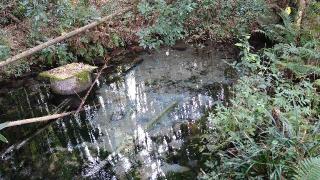 熊野神社の参拝記録(Y.1966.Sさん)