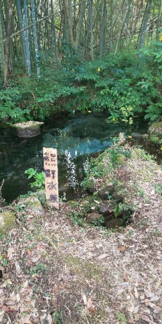 熊野神社の参拝記録(ｻｶｲﾀﾞ ﾀﾛｳさん)