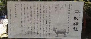 日枝神社の参拝記録(Y.1966.Sさん)