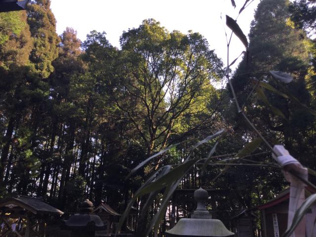 日光神社の参拝記録8