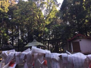 日光神社の参拝記録(ikeryu0917さん)