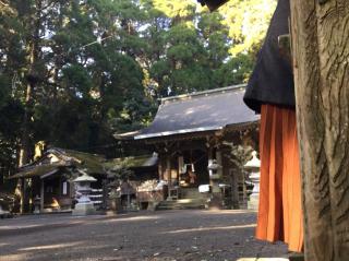 日光神社の参拝記録(ikeryu0917さん)