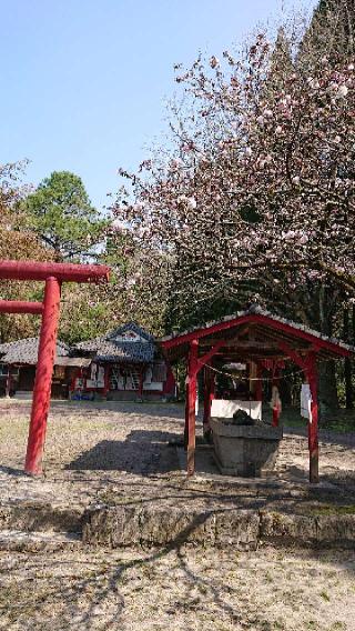 松山神社(松山八幡神社)の参拝記録(ゆみ33さん)