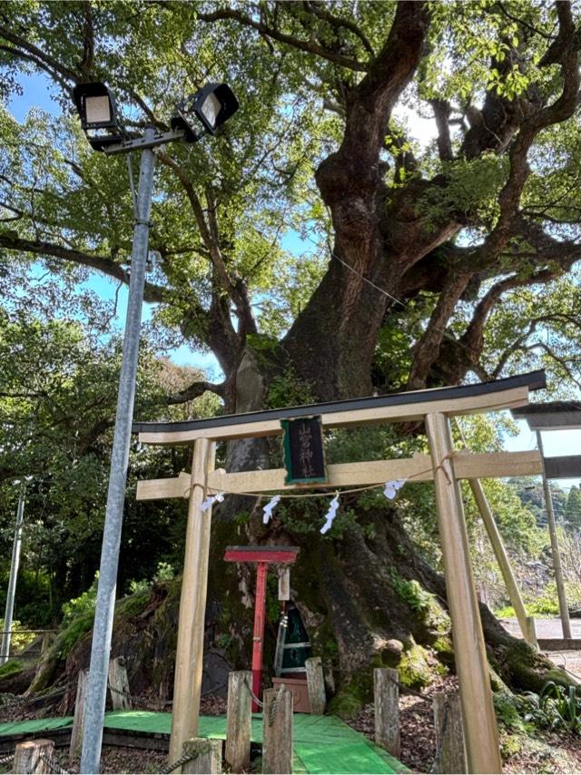 山宮神社の参拝記録3