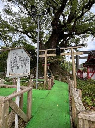 山宮神社の参拝記録(ちょりさん)