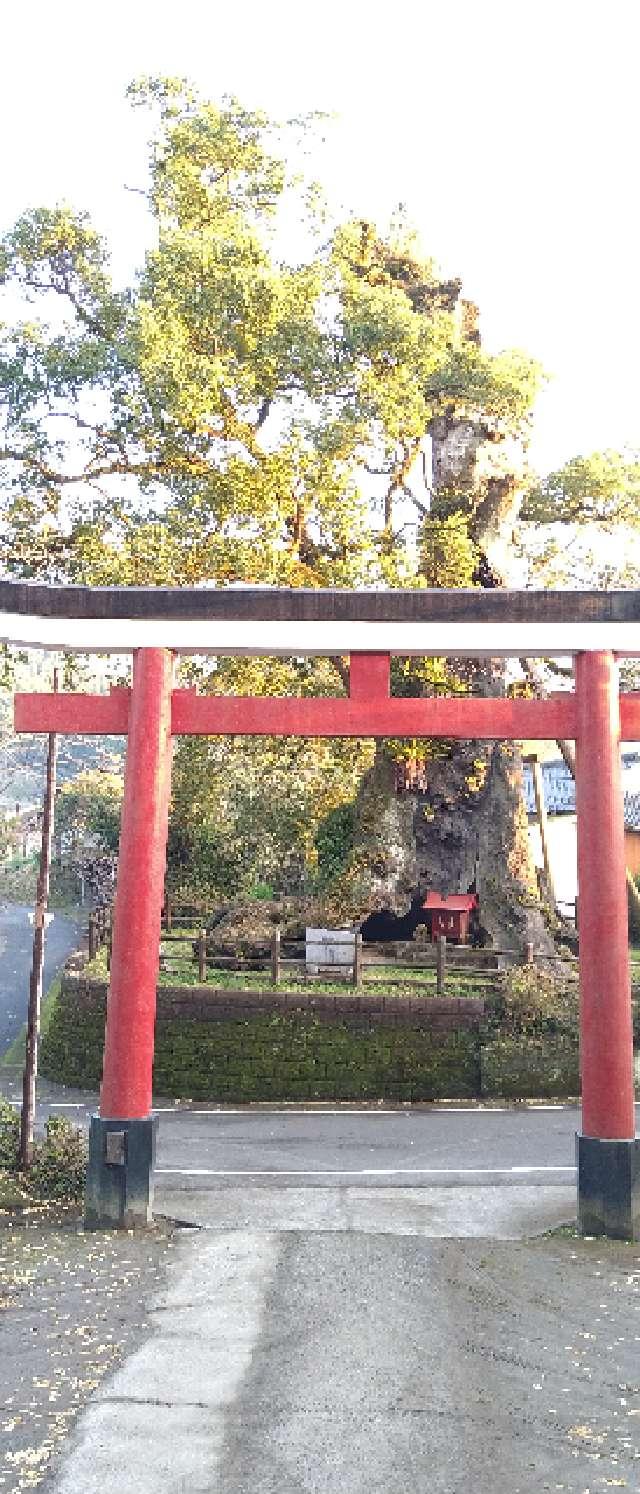 鹿児島県肝属郡錦江町城元5395 旗山神社の写真3