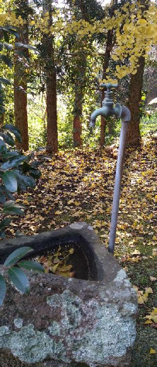 山祇神社の参拝記録(Y.1966.Sさん)