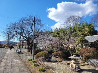 大光山星光院円通寺の参拝記録(まっきーさん)