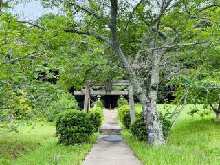 真名天照大神社の参拝記録(shikigami_hさん)