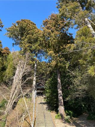 鷲神社の参拝記録(ねこチャリさん)