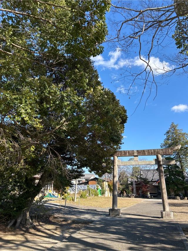 千葉県茂原市早野1593番地1 白幡神社の写真1