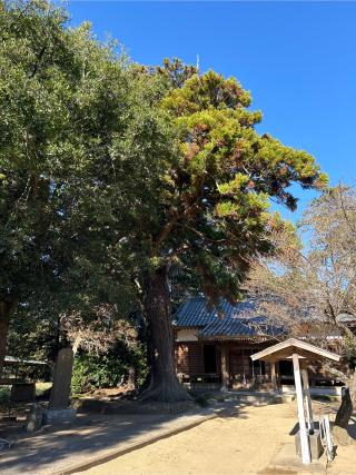 辛神社の参拝記録(ねこチャリさん)