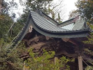 橘樹神社の参拝記録(支那虎さん)