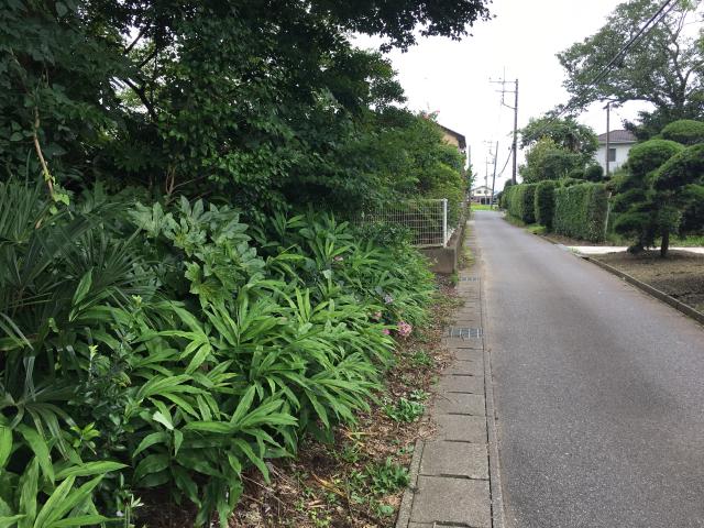 八坂神社の参拝記録2