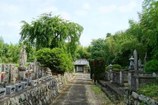 聖徳山光政寺本覚院の参拝記録(thonglor17さん)