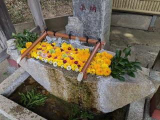 田間神社の参拝記録(はしどいさん)