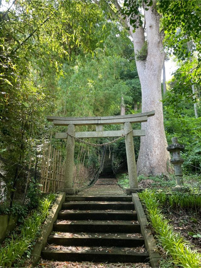 千葉県東金市田間2234番地 玉崎神社の写真1