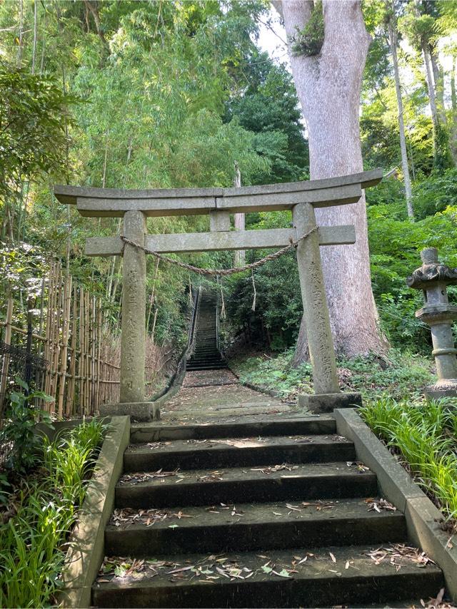玉崎神社の参拝記録2